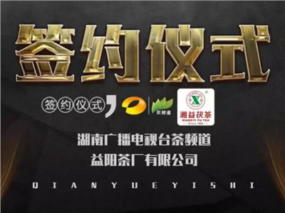 湘益茯，美茗揚 丨湘益茯茶與茶頻道達成長(cháng)期戰略合作
