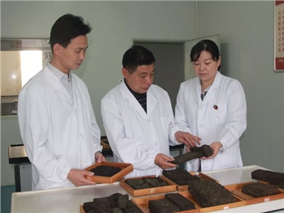 傳承茯茶非遺技藝、開(kāi)拓創(chuàng  )新引領(lǐng)行業(yè)發(fā)展