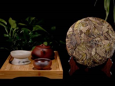 武侯區專(zhuān)賣(mài)店