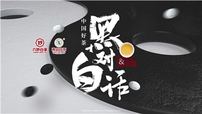 首屆黑白對話(huà)高峰論壇圓滿(mǎn)落幕！湘益茯茶備受關(guān)注！