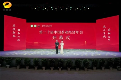 【聚焦第二十屆中國茶業(yè)經(jīng)濟年會(huì )】益陽(yáng)茶廠(chǎng)榮獲“民族團結互助企業(yè)”、“2024年度茶業(yè)重點(diǎn)企業(yè)”榮譽(yù)稱(chēng)號
